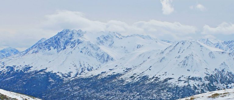 The Winter Blues: A Remedy